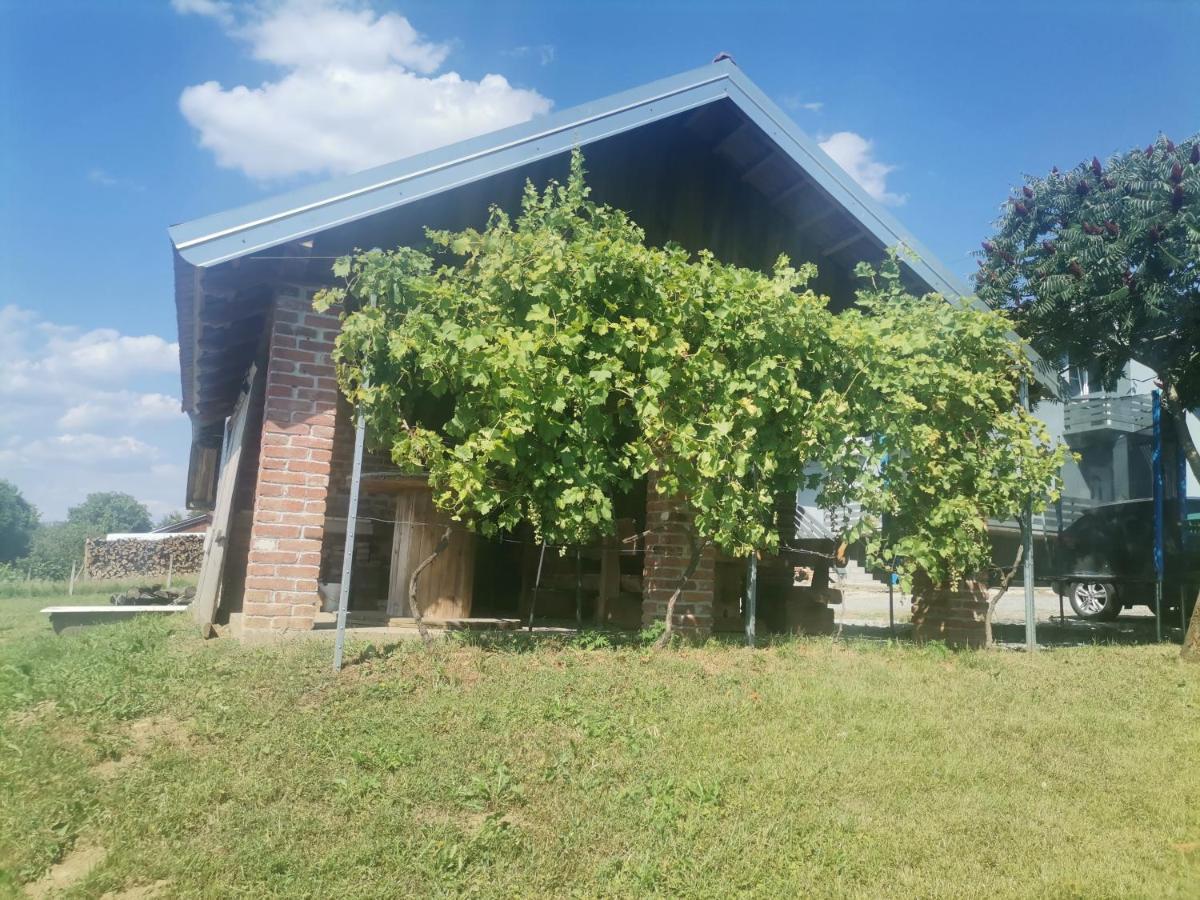 Apartman Sipa Б'єловар Екстер'єр фото